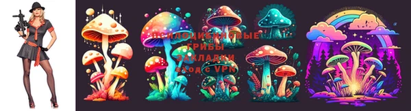 PSILOCYBIN Белокуриха